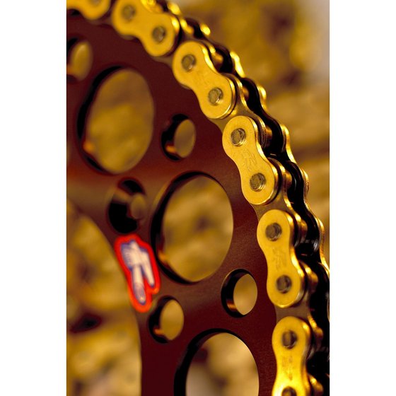 KX 125 (2004 - 2008) r1 works 520x114 chain | RENTHAL