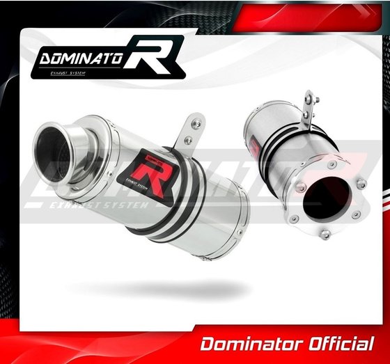 ZRX 1200 (2001 - 2007) exhaust silencer gp1 | Dominator