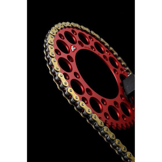 KX 450 F (2006 - 2023) r1 works 520x114 chain | RENTHAL