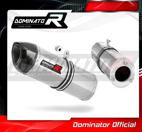 ZRX 1200 (2001 - 2007) exhaust silencer hp1 | Dominator