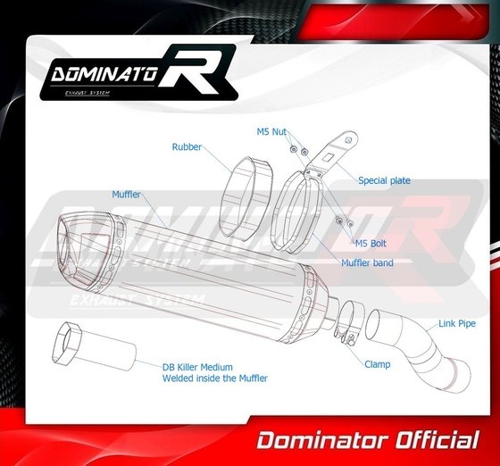 Z 900 (2020 - 2022) eu approved exhaust hp1 | Dominator