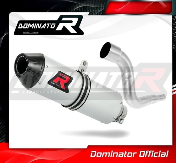 KLX 250 S (2009 - 2010) exhaust silencer mx2 | Dominator