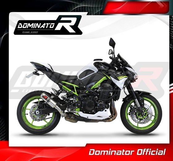 Z 900 (2020 - 2022) exhaust silencer gp | Dominator