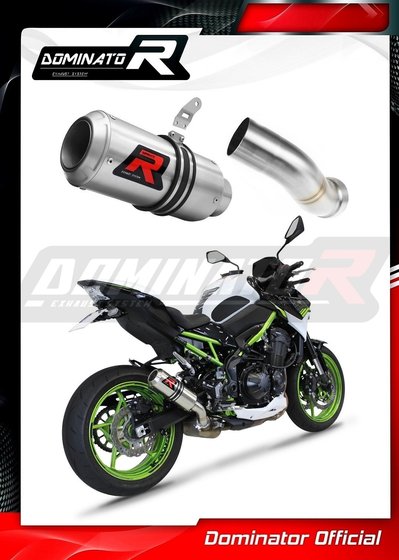 Z 900 (2020 - 2022) exhaust silencer gp | Dominator