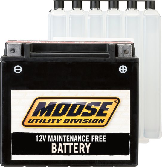 Z 1000 LTD (1981 - 1982) moose utility division maintenance-free battery ytx20hl-bs | MOOSE UTILITY DIVISION