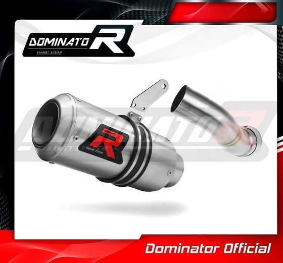 Z 900 (2017 - 2019) exhaust silencer gp | Dominator