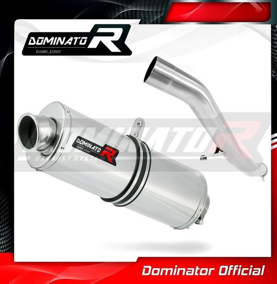 GTR 1400 (2007 - 2009) exhaust silencer oval | Dominator