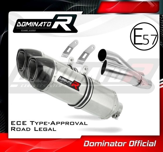 Z 1000 (2014 - 2016) homologated exhaust silencer hp1 | Dominator