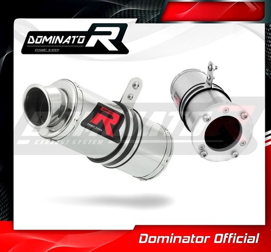 ZX 12 R NINJA (2000 - 2005) exhaust silencer gp1 | Dominator