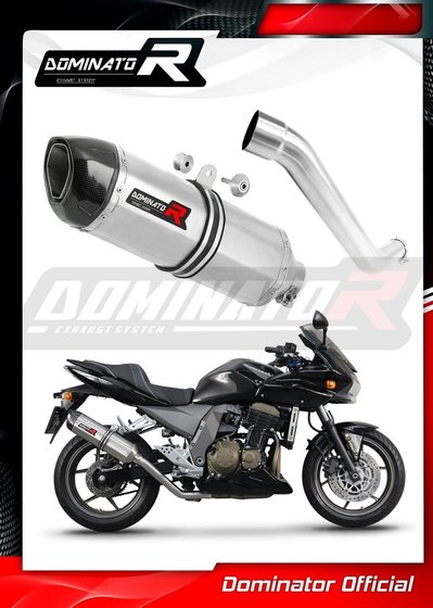 Z 750 (2004 - 2006) exhaust silencer muffler hp1 | Dominator