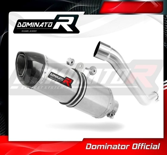 Z 750 (2004 - 2006) exhaust silencer muffler hp1 | Dominator