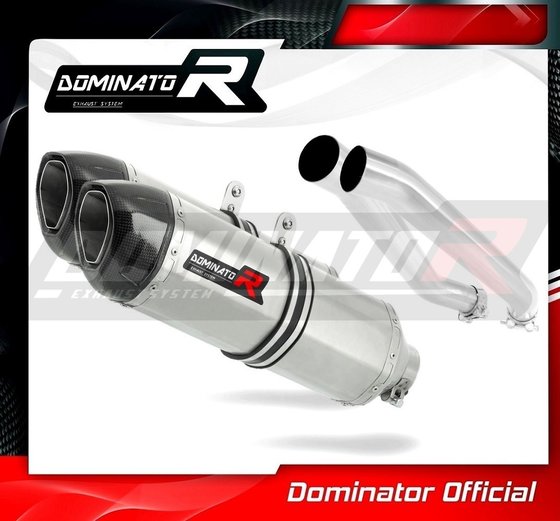 Z 1000 (2003 - 2006) exhaust silencer hp1 | Dominator