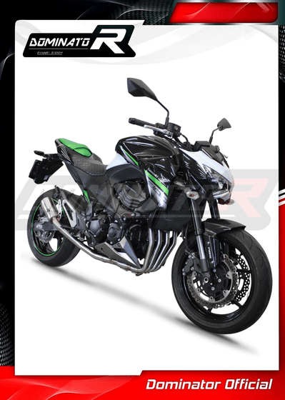 Z 800 (2013 - 2016) full exhaust system silencer gps | Dominator