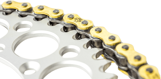 KX 450 F (2006 - 2023) 520x114 drive chain | RENTHAL