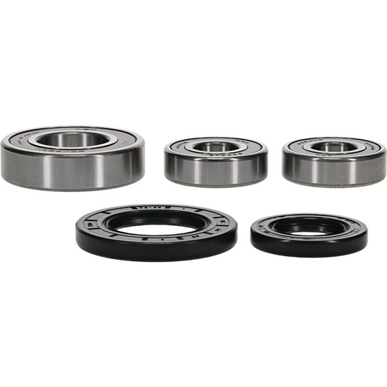 KLV 1000 (2004 - 2005) wheel bearing kit rear | All Balls