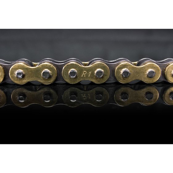 KX 125 (2004 - 2008) r1 works 520x114 chain | RENTHAL