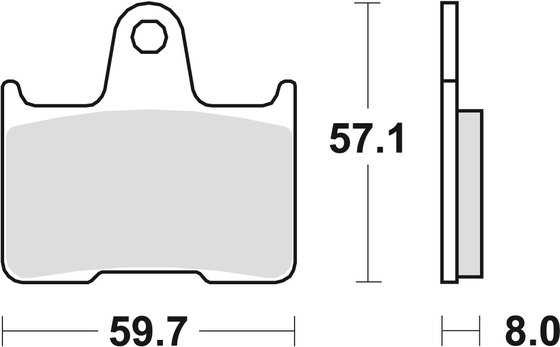 NINJA ZX 14 R (2006 - 2022) sintered metal brake pad | TRW