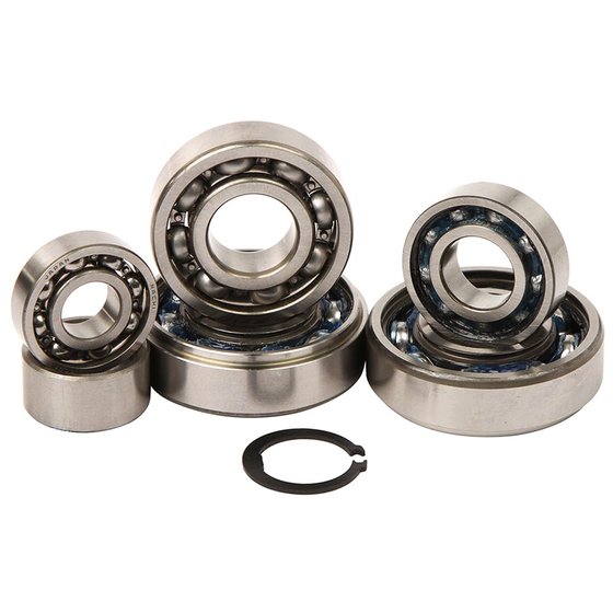 KX 100 (1995 - 1997) transmission bearing kit | Hot Rods