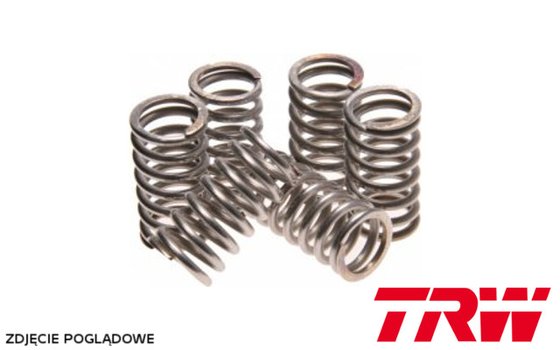 KLR 600 (1984 - 1993) clutch spring kit | TRW