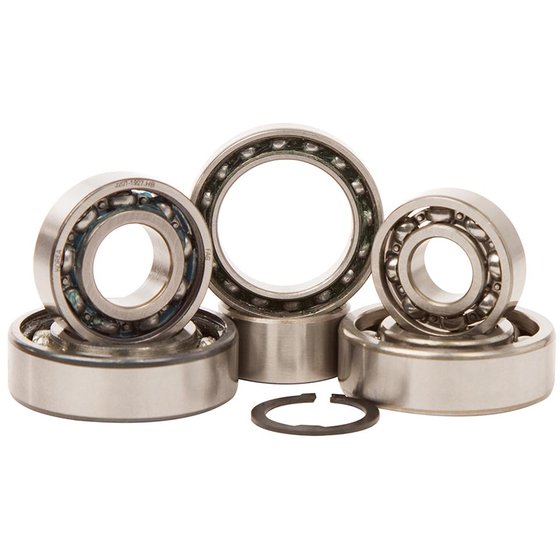 KX 65 (2000 - 2001) transmission bearing kit | Hot Rods