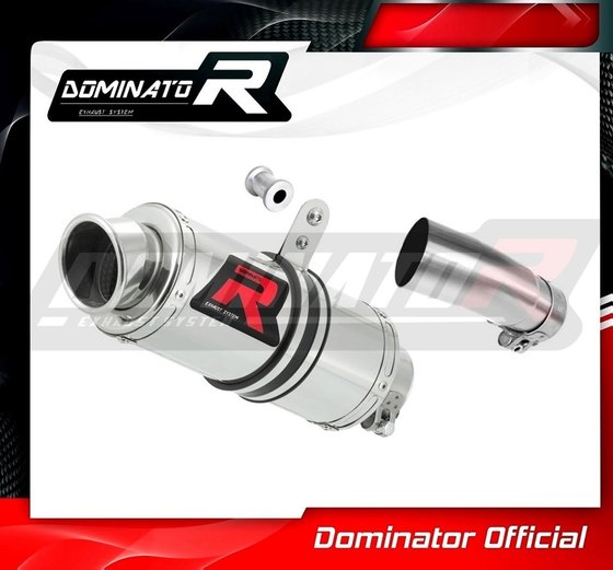 EX 400 NINJA (2018 - 2019) exhaust silencer gp1 | Dominator