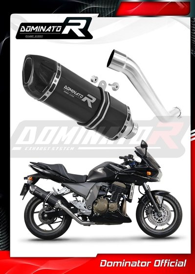 Z 750 (2004 - 2006) exhaust silencer muffler hp1 black | Dominator