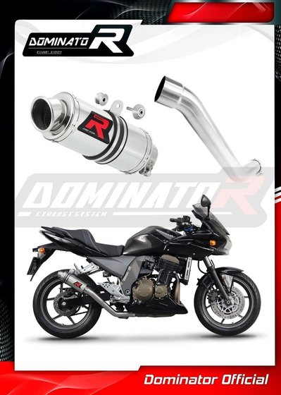 Z 750 (2004 - 2006) exhaust silencer muffler gp1 | Dominator