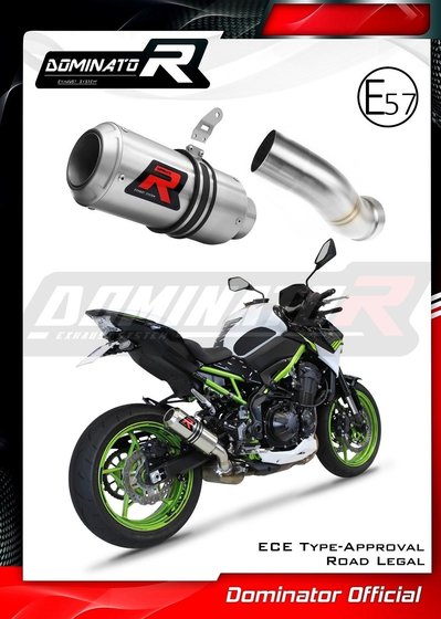 Z 900 (2020 - 2022) eu approved exhaust gp | Dominator