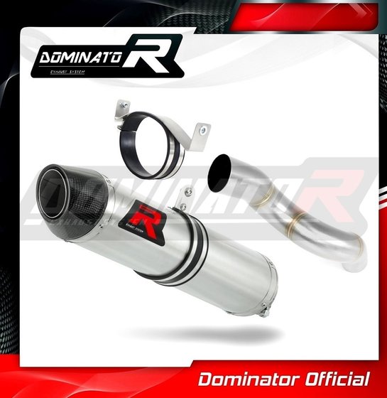 ZX 6R NINJA (2005 - 2006) exhaust silencer hp2 | Dominator