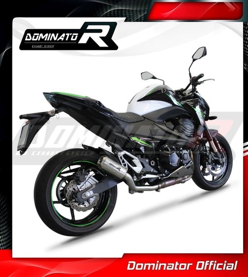 Z 800 (2013 - 2016) exhaust silencer muffler gps | Dominator