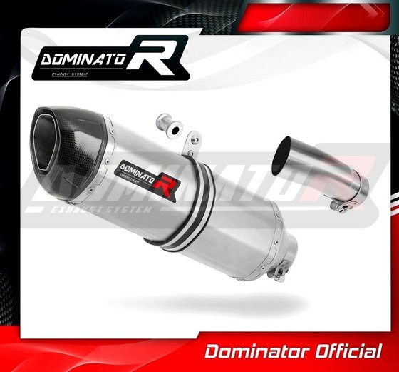 EX 400 NINJA (2018 - 2019) exhaust silencer hp1 | Dominator