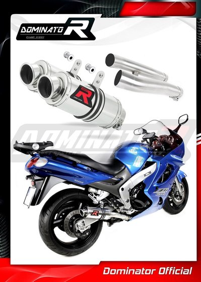 ZZ R 1200 (2002 - 2005) exhaust silencer gp1 | Dominator