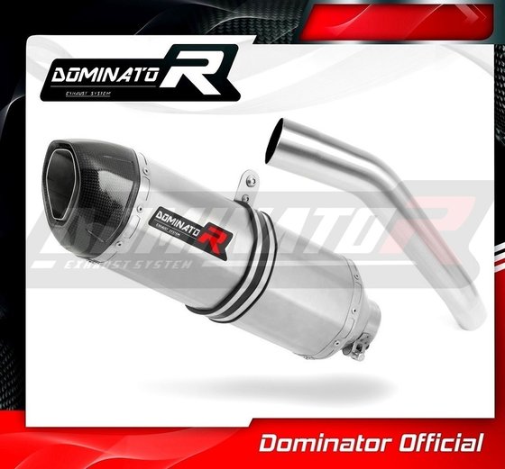 Z 750 (2007 - 2012) exhaust silencer hp1 | Dominator