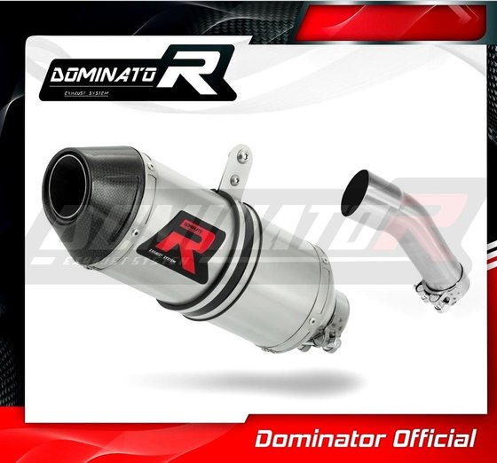 EX 250 R NINJA (2008 - 2012) exhaust silencer hp3 | Dominator