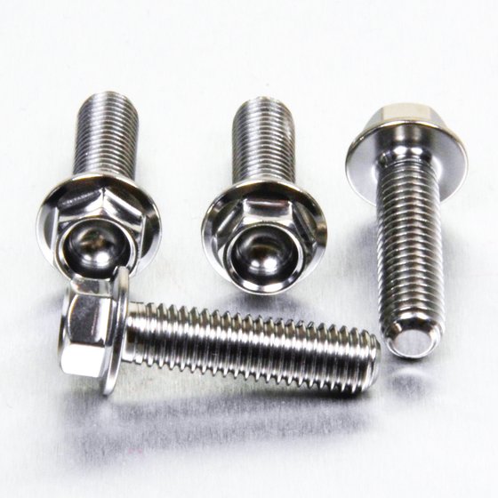 Z 1000 (1979 - 2006) brake caliper mounting bolt kit | PRO BOLT