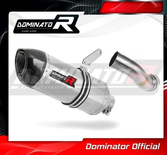 Z 900 (2017 - 2019) exhaust silencer hp1 | Dominator