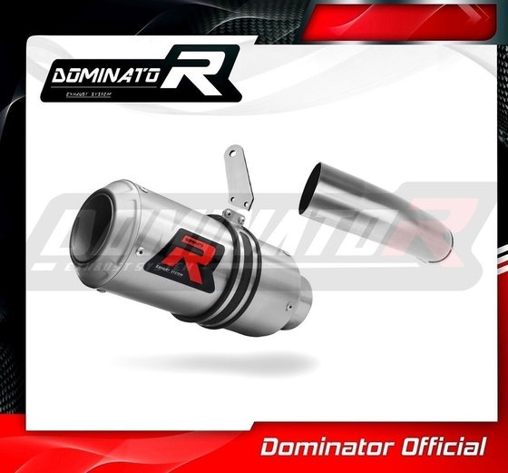 KLZ 1000 VERSYS (2019 - 2021) exhaust silencer gp | Dominator