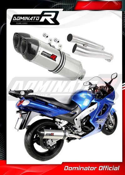 ZZ R 1200 (2002 - 2005) exhaust silencer hp1 | Dominator